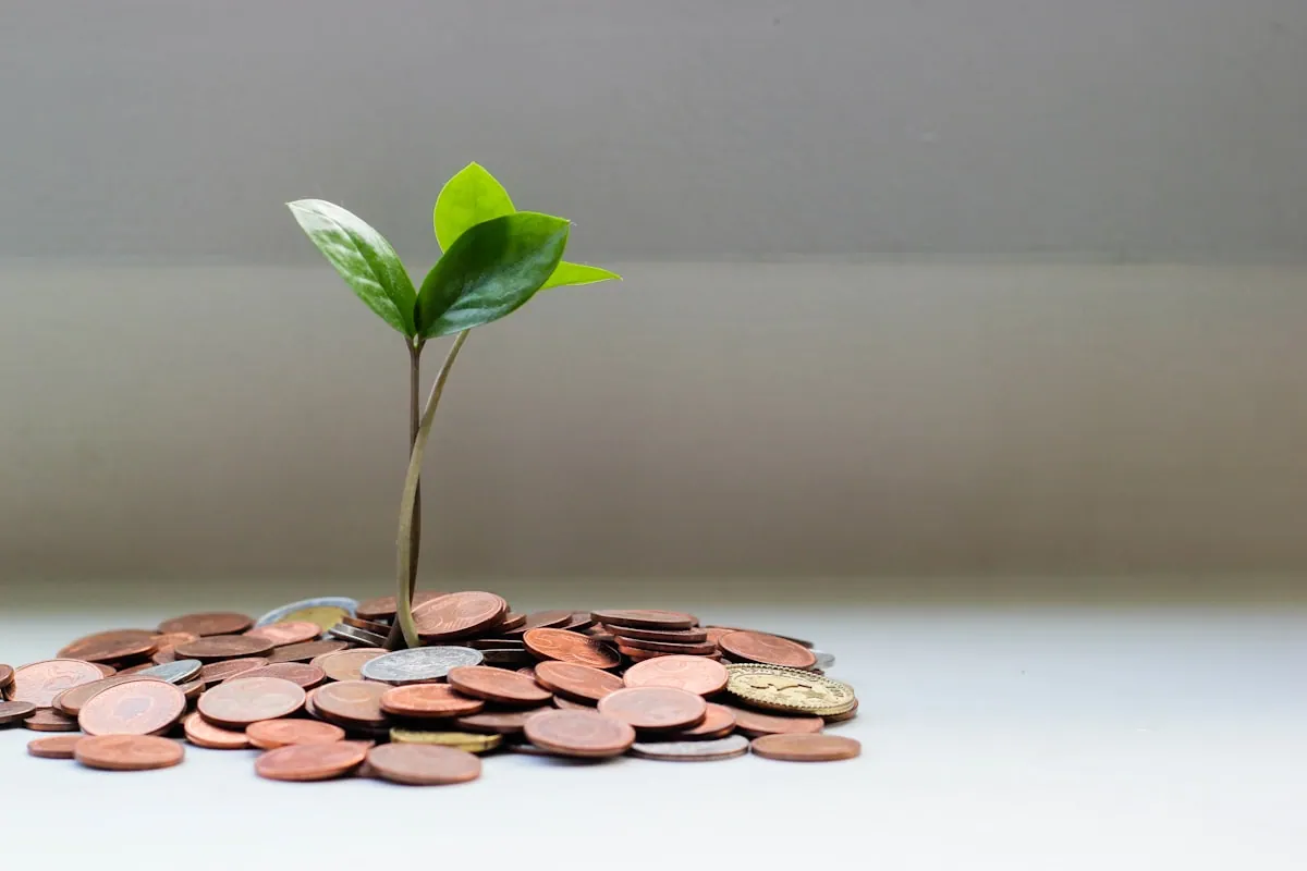 Immobilienfinanzierung und Beratung
